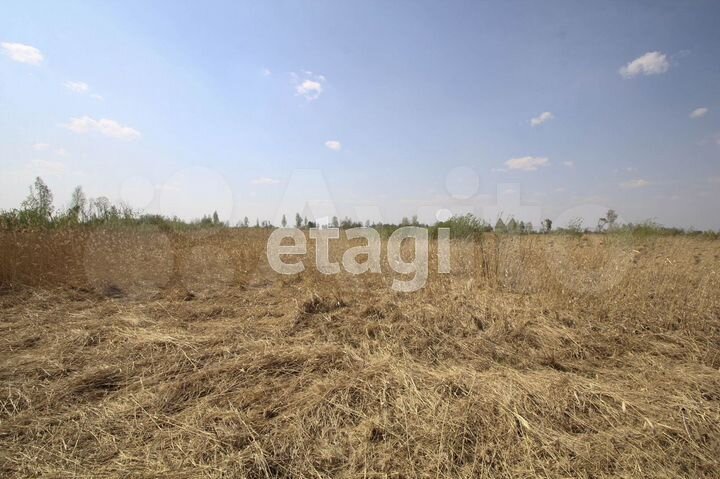 Участок 8 сот. (СНТ, ДНП)