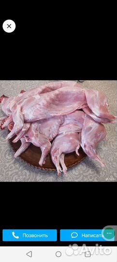 Продам мясо кролика