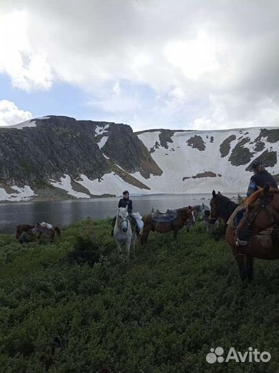 Отдых в Усть- Коксе