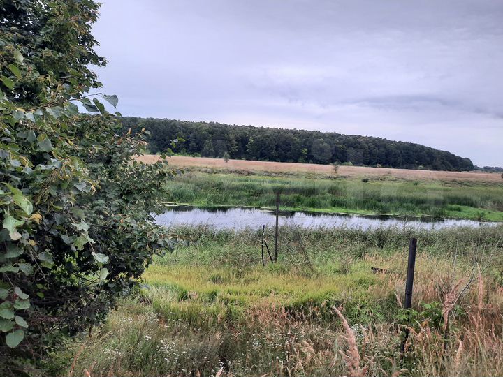 Участок 7 сот. (ИЖС)