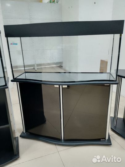 Аквариумы волна, телевизор