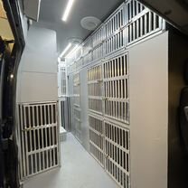 Перевозка доставка животных собак кошек по России, Минск