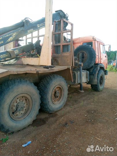 КАМАЗ 43118 с КМУ, 2012