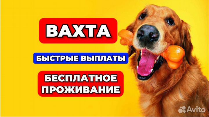 Упаковщики/Авансы еженедельно/Автобус