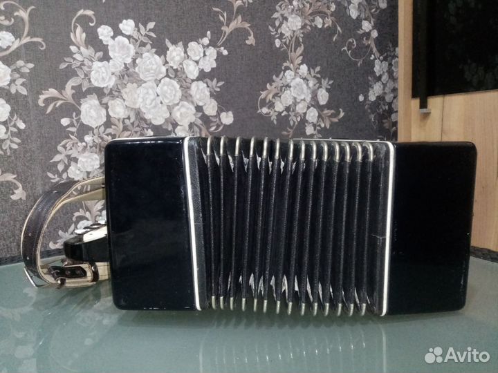 Баян Огонек 2