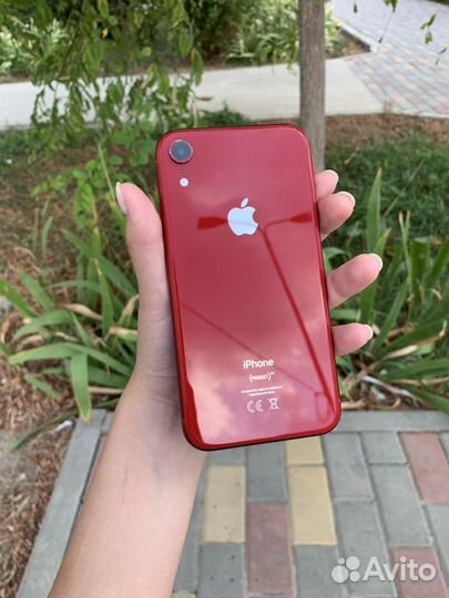 iPhone XR 128gb (red)