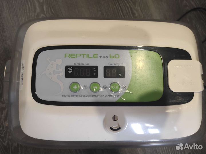 Инкубатор для рептилий