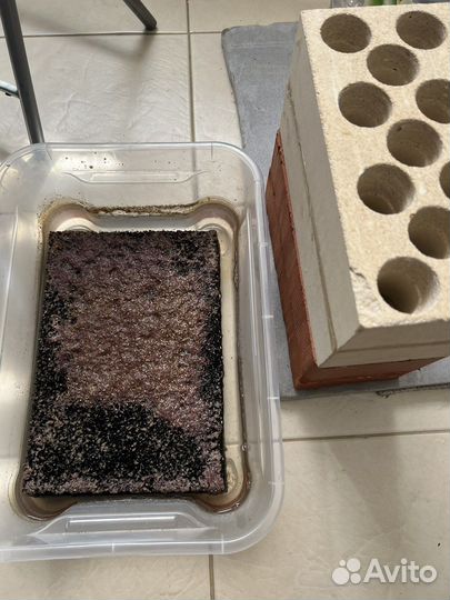 Аквариум Eheim 65л, Сом номерной L 066, 181, 201