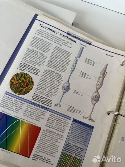 Коолегция журналов Тело человека снаружи и внутри