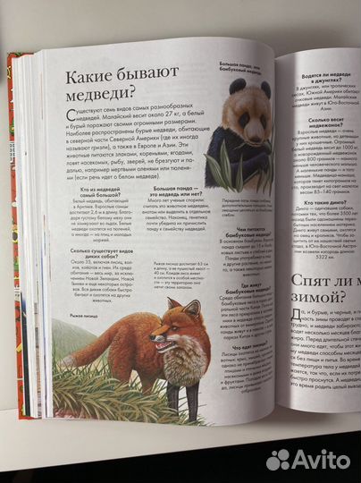 Детская энциклопедия 1000 ответов на 1000 вопросов