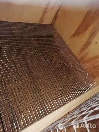 Клетки и брудеры для птицы