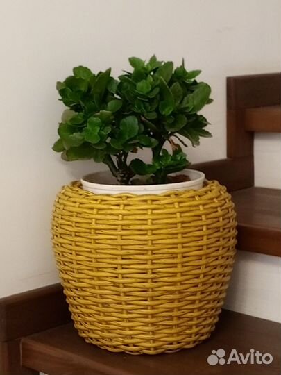 Кашпо 5 литров