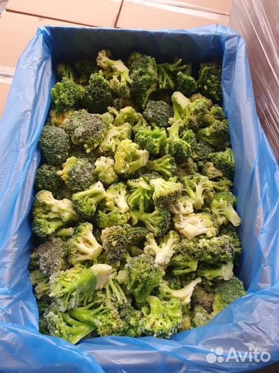 Брокколи, Фасоль стручковая