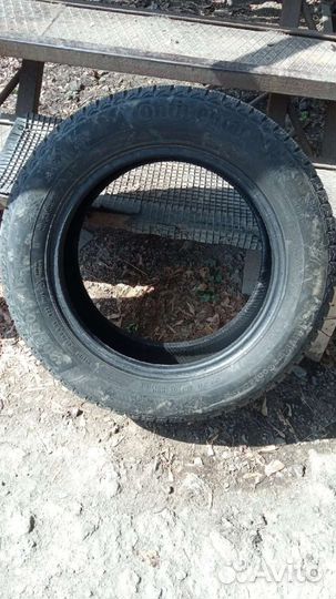 Continental ContiVikingContact 6 205/60 R16