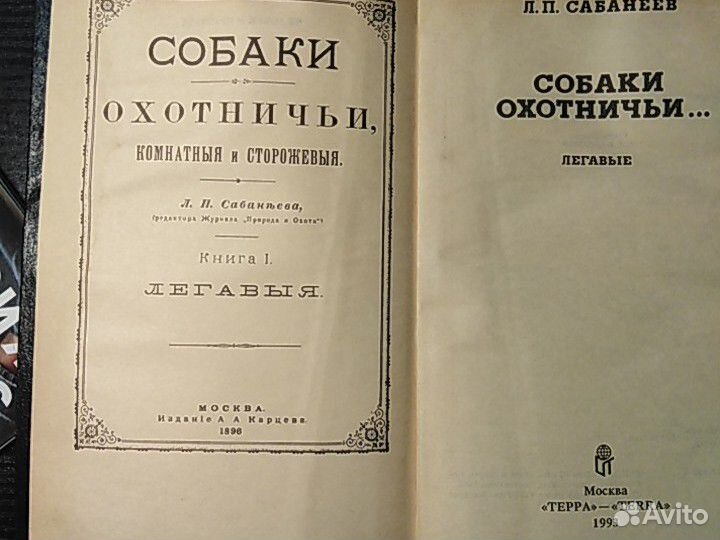 Сабанеев. Собаки охотничьи легавые