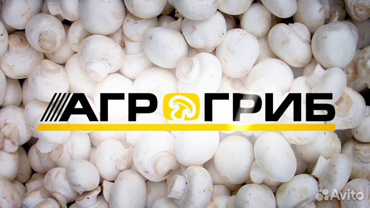 Рабочий (сборщик грибов шампиньонов)