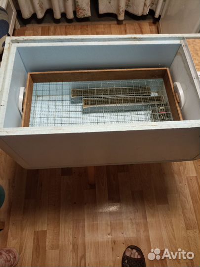 Инкубатор для яиц автоматический бу