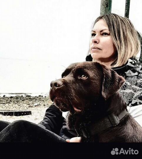 Щенячий тренер, дрессировка собак, кинолог