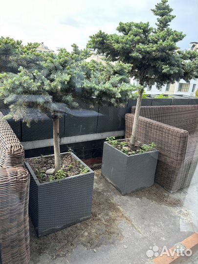 Уличные кашпо пр-во Европа