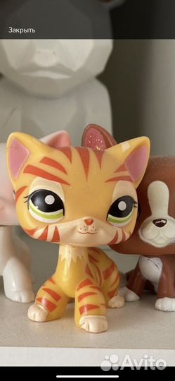 Littlest Pet Shop