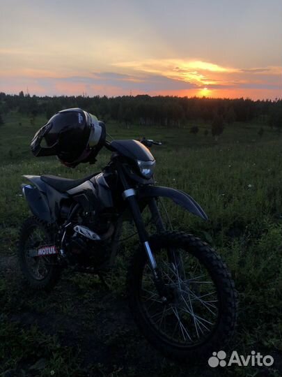 BSE Z1