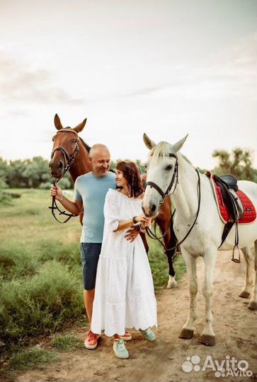 Конные прогулки