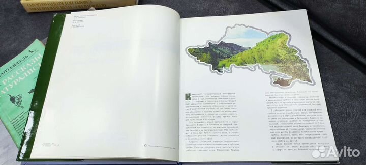 Книга По кавказскому заповеднику