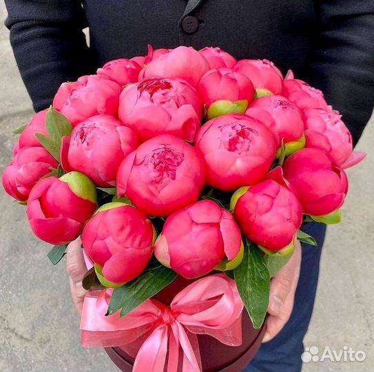 Пионы Букет пионов