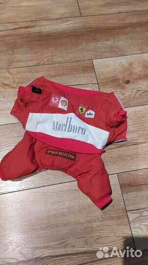 Одежда для собак мелких пород