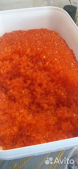 Красная икра, кета