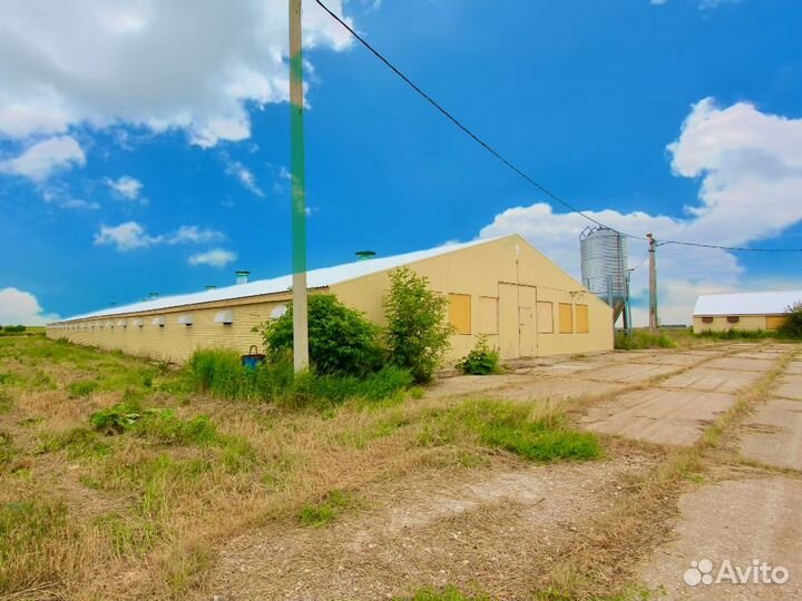 Сельхоз предприятие. 12 строений площадью 8.600м2