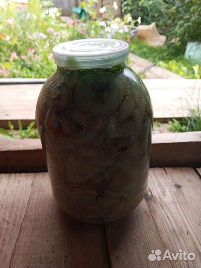 Грибы грузди соленые