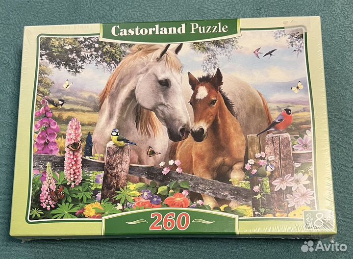 Пазлы Castorland