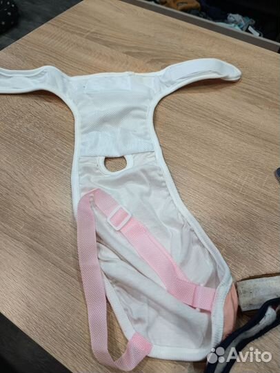 Трусы для собаки