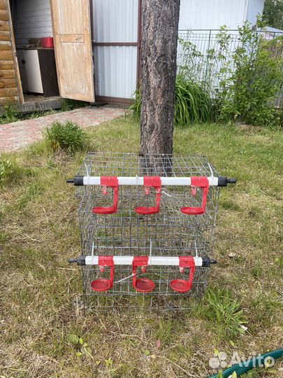 Клетки для кур