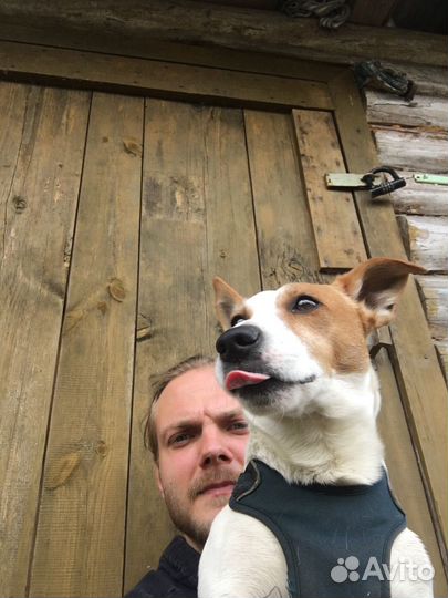 Электрика, сантехника, ремонт