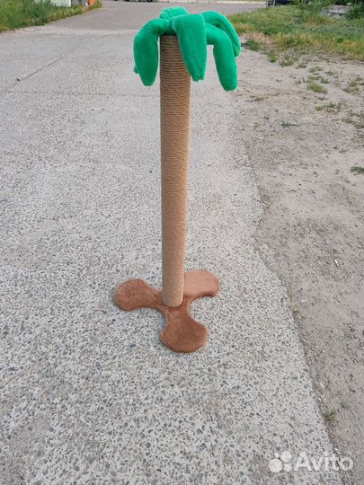 Когтеточка, высокая, новая