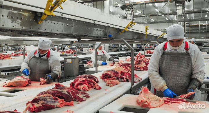 Нарезчики(цы) мяса вахта в Воронежскую область