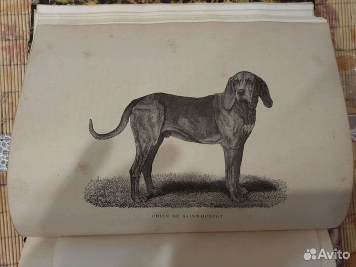 Книга. Антиквариат. Франция. Редкость. Гравюры