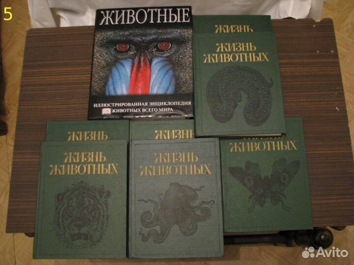 Животные,География,Медицина,Приготовление пищи