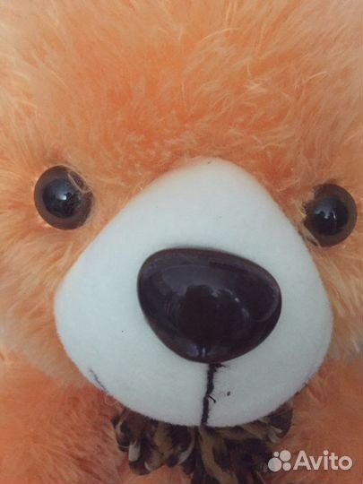 Мишка Мостик