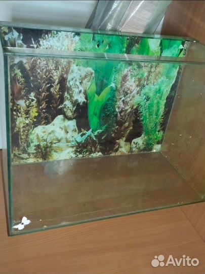 Аквариум
