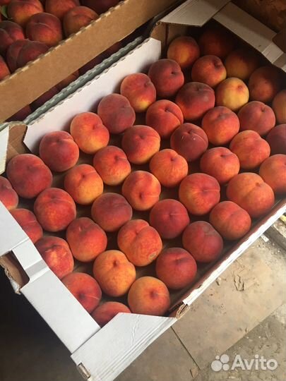 Персик, арбуз