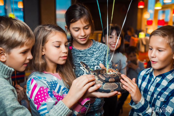 Квесты, Тимбилдинги, Квизы для детей и взрослых