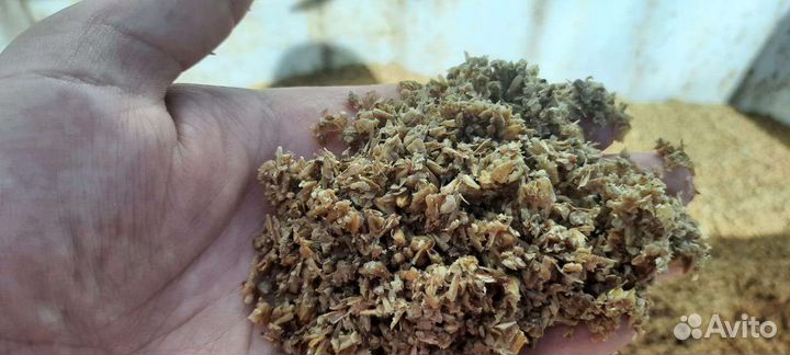 Пивная дробина в мешках оптом