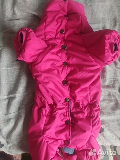 Комбинезон новый для таксы