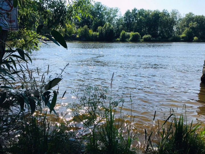 Участок 6 сот. (ИЖС)