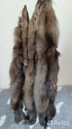 Шкурки якутского соболя