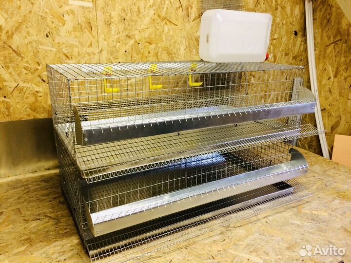 Клетка для перепелов на 70-80 шт
