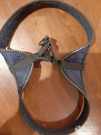 Шлейка для собаки